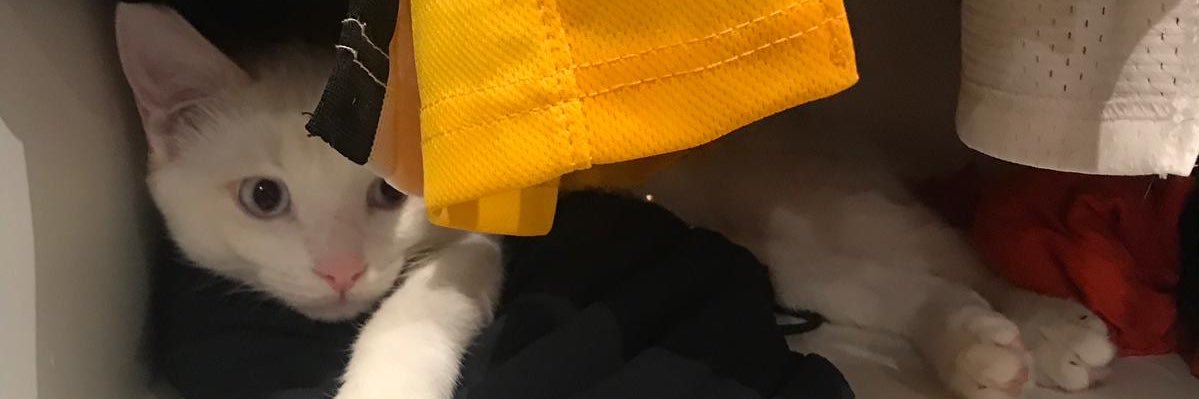 MaaartaSan's profile banner image