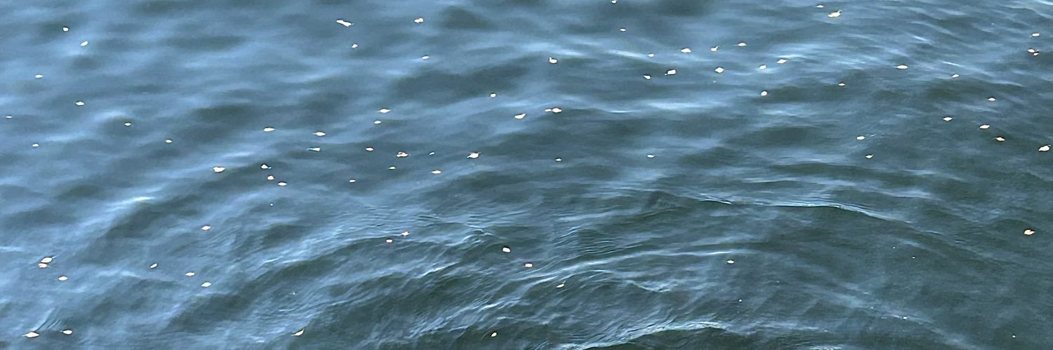 arianavald's profile banner image