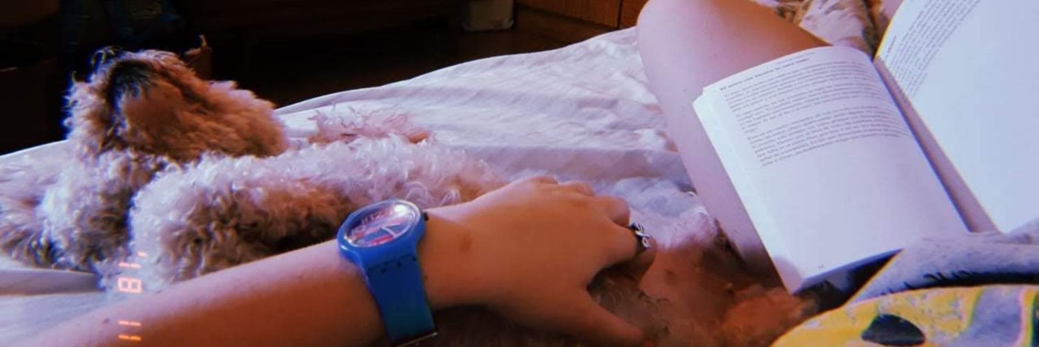 FlorrCosta's profile banner image