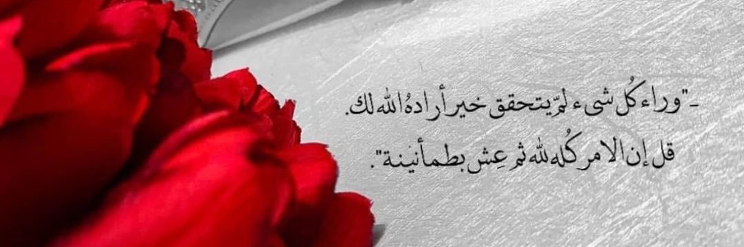 rr_rano200010's profile banner image