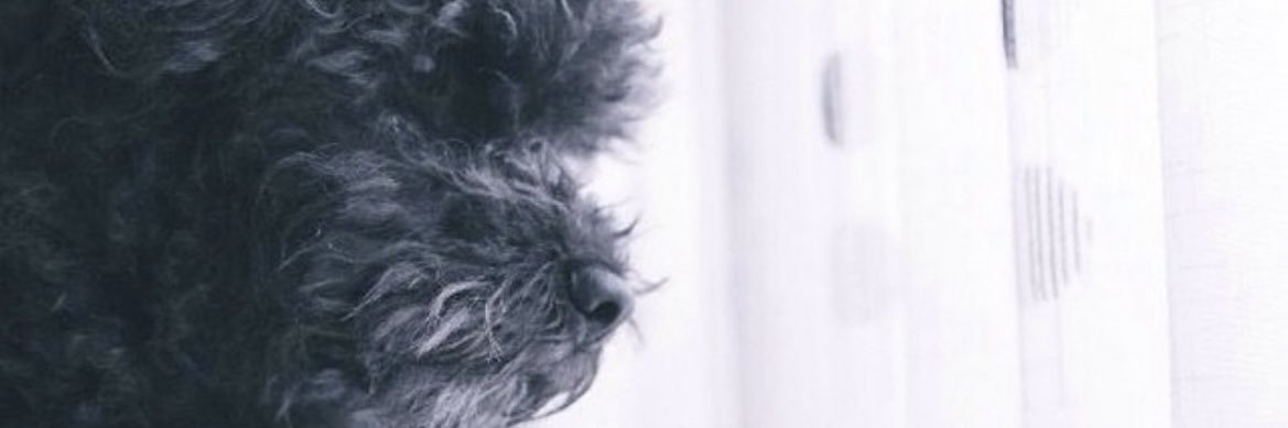 MartaStrach's profile banner image
