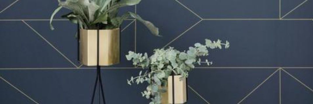 Nicole Boehm banner
