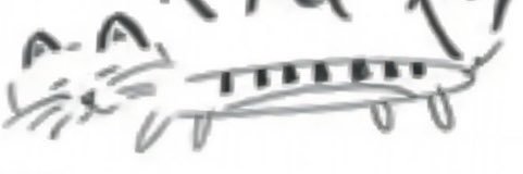 aurora_aaa's profile banner image