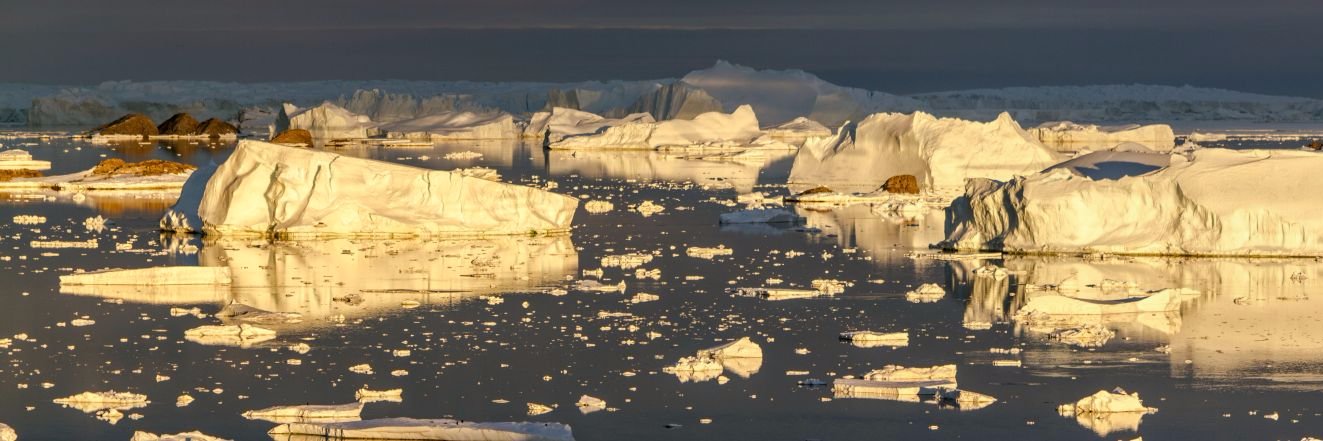 Polar Observer's banner