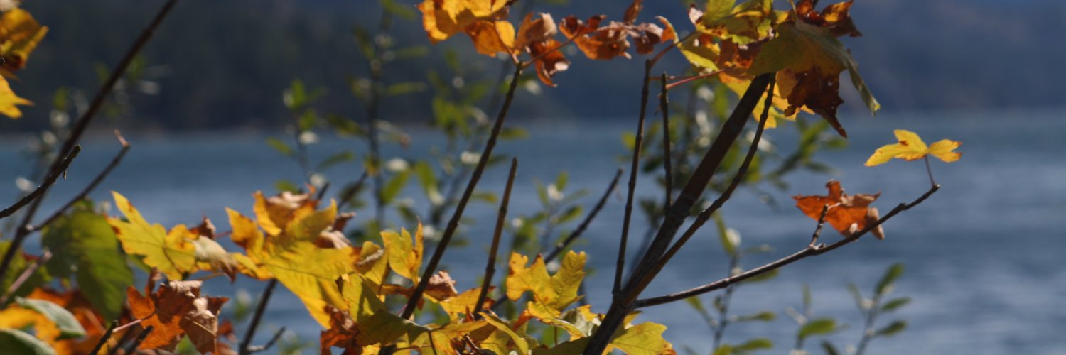rlweidne's profile banner image