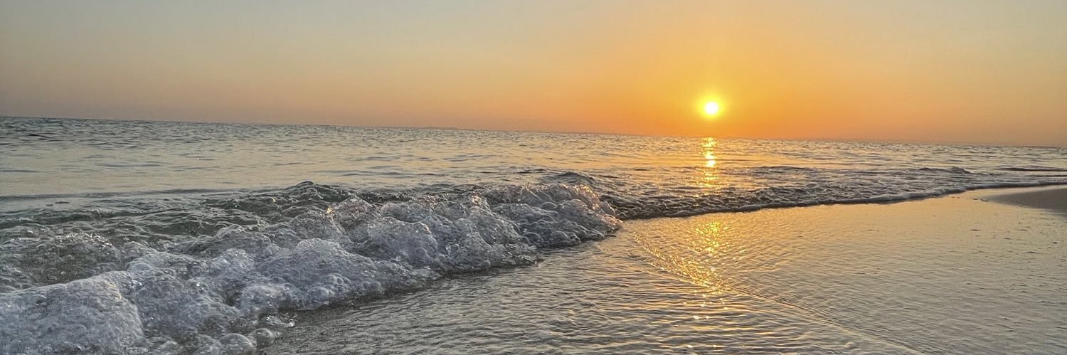 sunshine_GF1's profile banner image