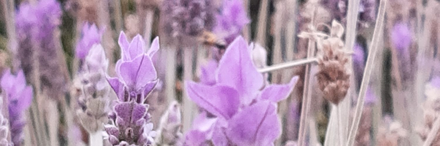 ekniximces's profile banner image