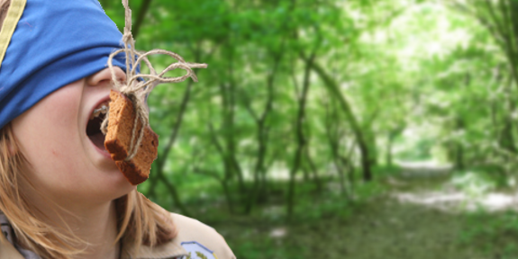 Scouting Regio Utrechtse Heuvelrug banner