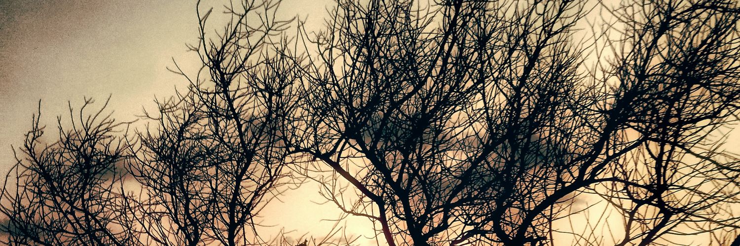 AhmedAreesh's profile banner image