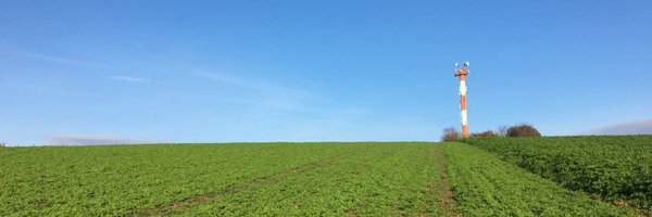 DWMicheline Profile Banner