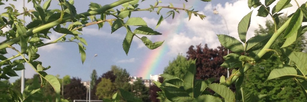 _Naemis's profile banner image