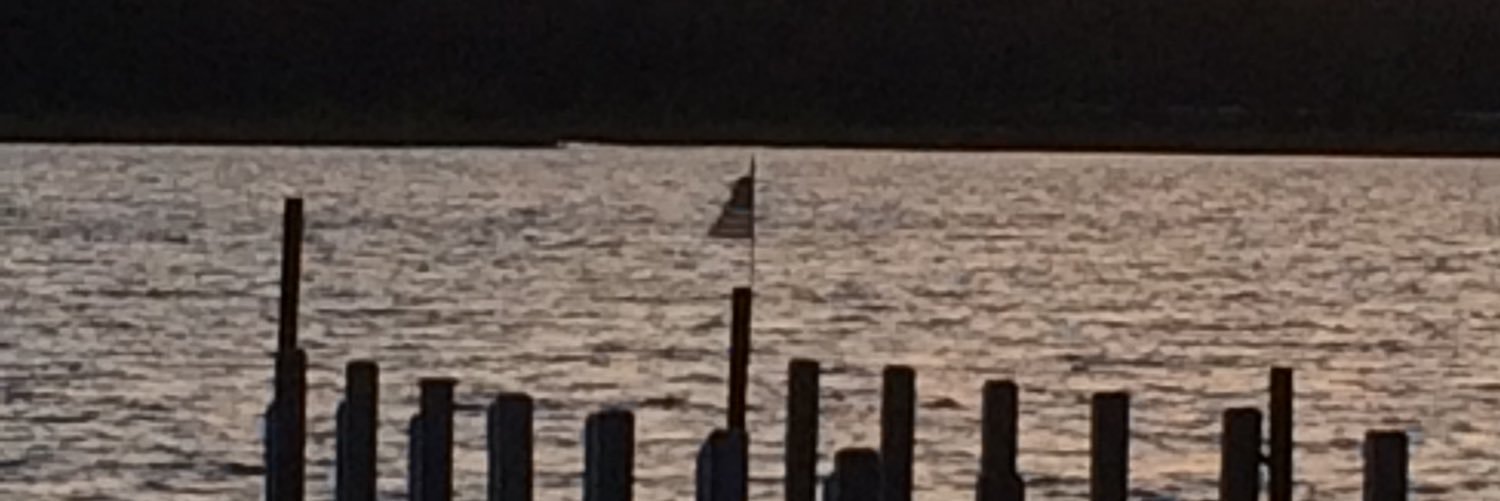 TerryFilarecki's profile banner image