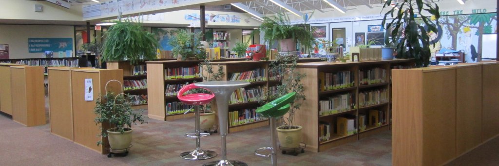 BaldwinCreek_Library banner