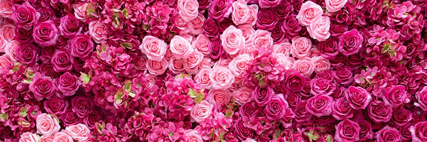 ConstancyIsKey's profile banner image