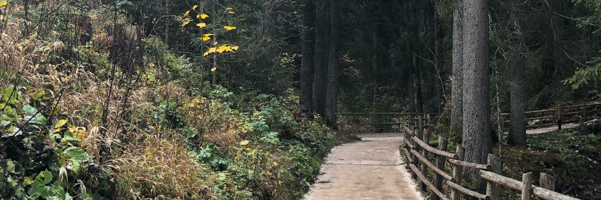 fakedavidgray banner