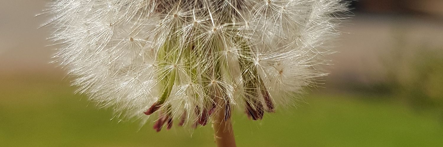 heeltemalanders's profile banner image