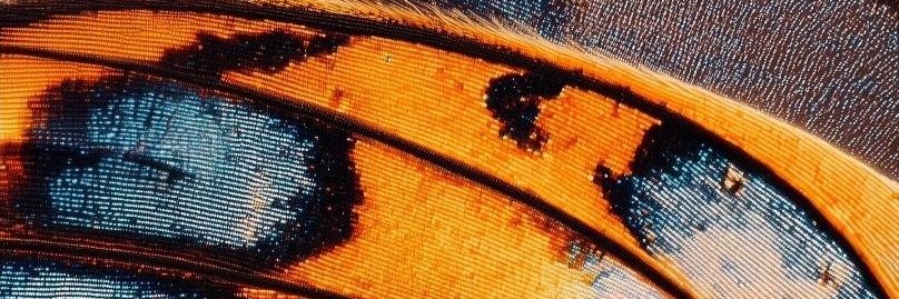 letciamrss's profile banner image