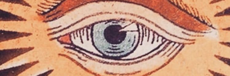 whosaishaa's profile banner image