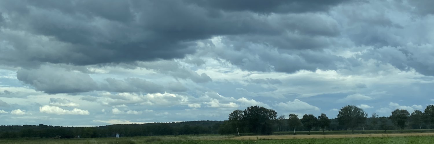ynelissen's profile banner image