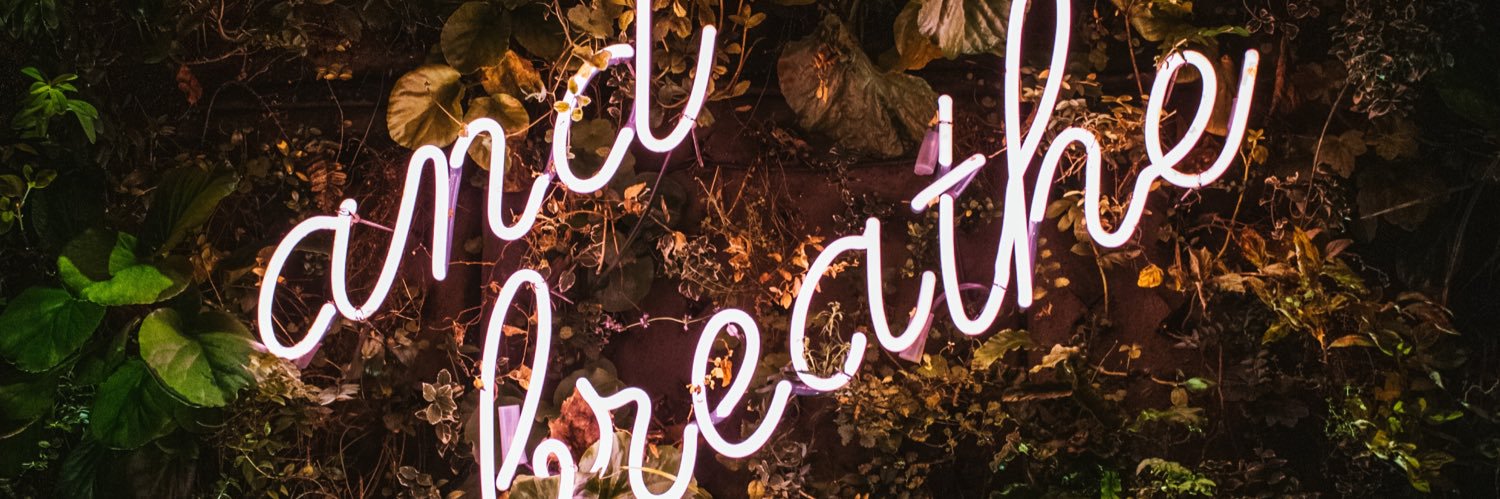 TrevorSutton2's profile banner image