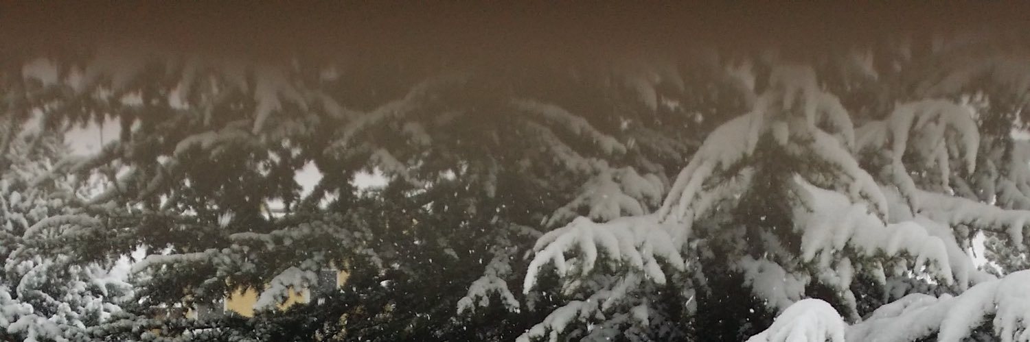 ImLordOfLies's profile banner image