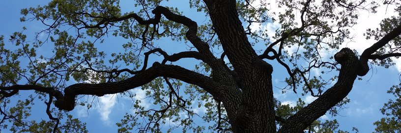 relativityreadr's profile banner image