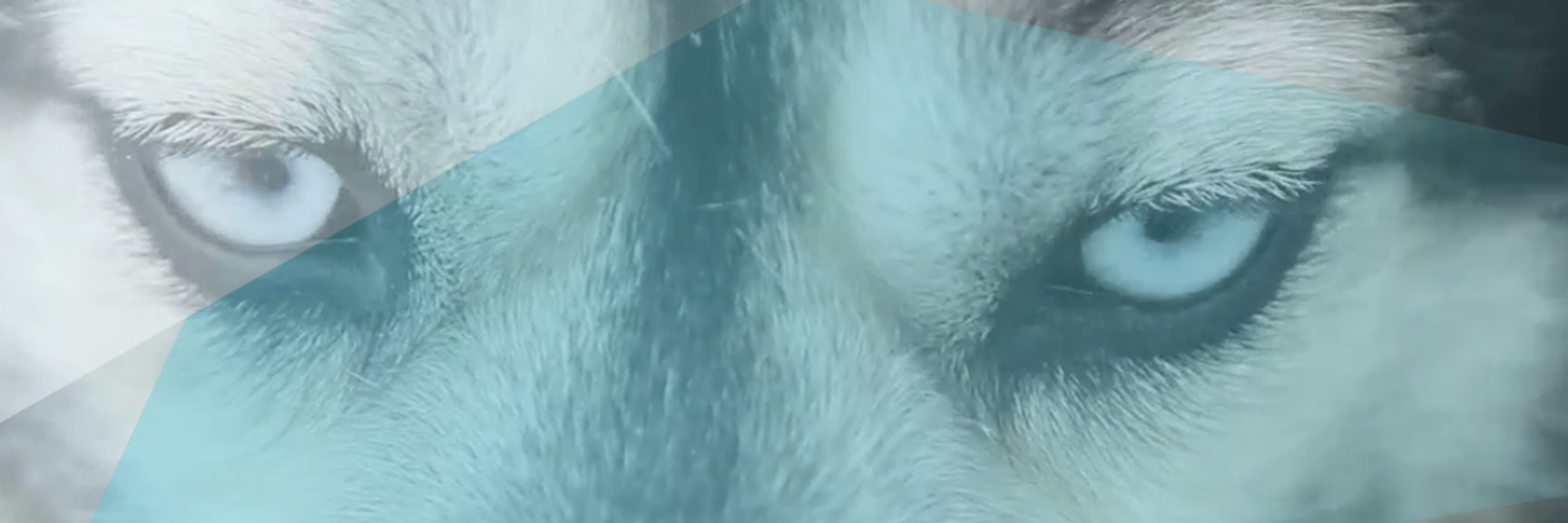 rdsmttr's profile banner image