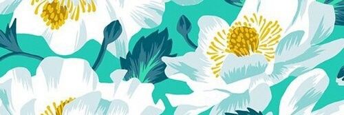 SolDifrini's profile banner image