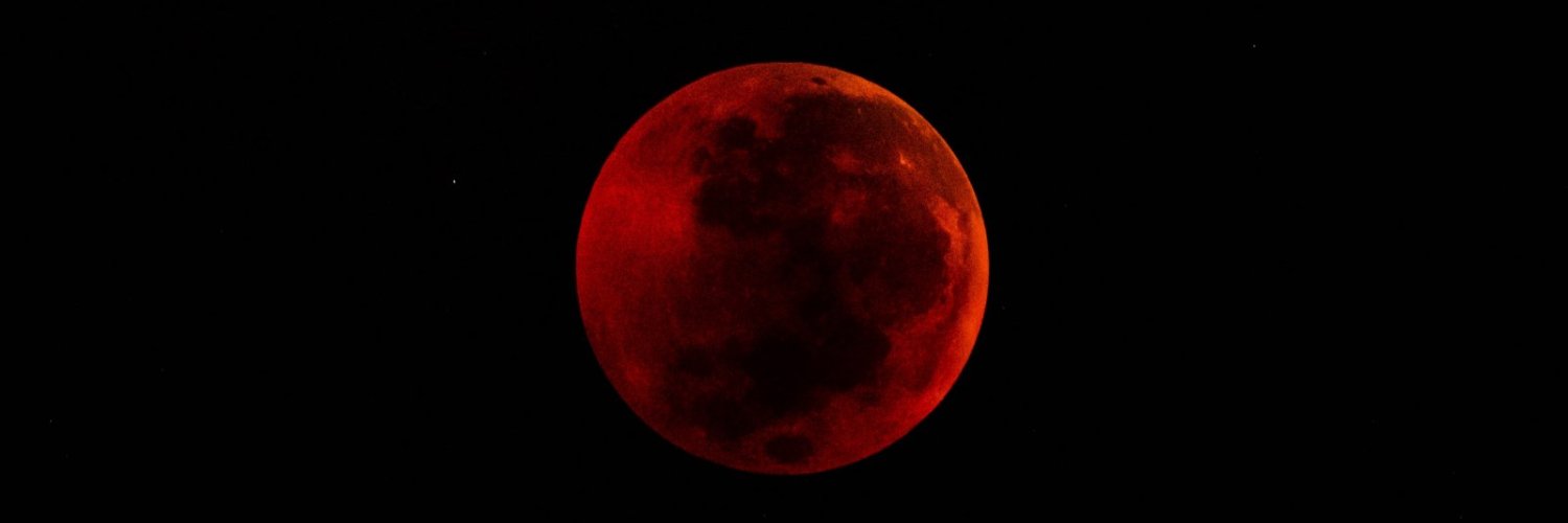 Fionna Michèle 🇩🇪🇫🇷🏳️‍⚧️🇺🇦 banner