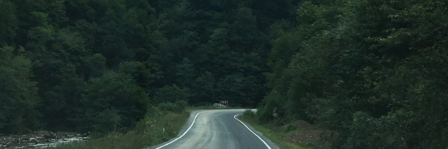 ZelfiGedik's profile banner image