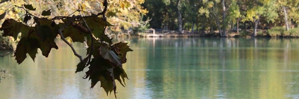 gemma_92's profile banner image