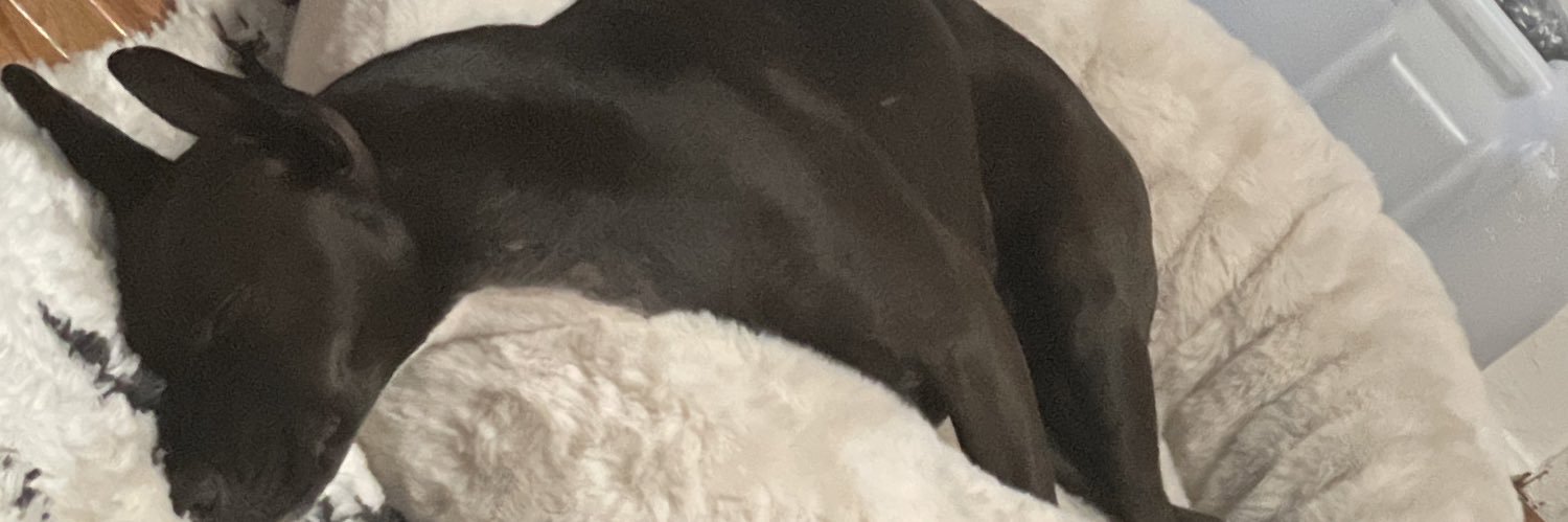 JonasWexler's profile banner image