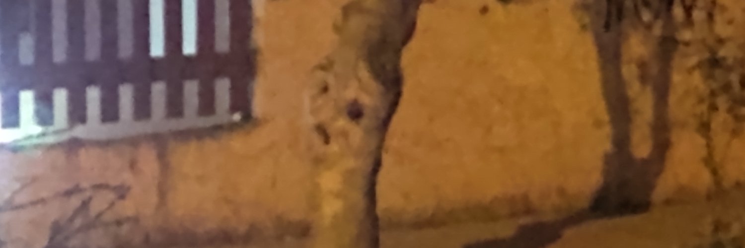 Subitamente22's profile banner image