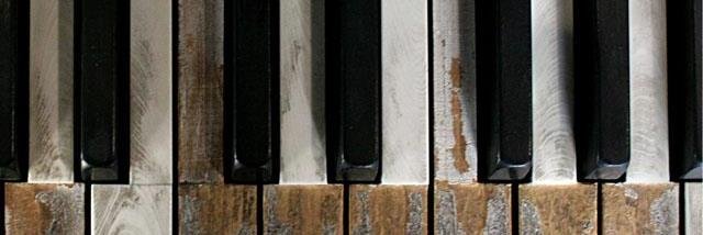 Michele Murphy banner