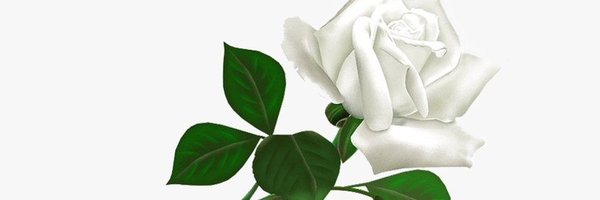 manypenny8 Profile Banner