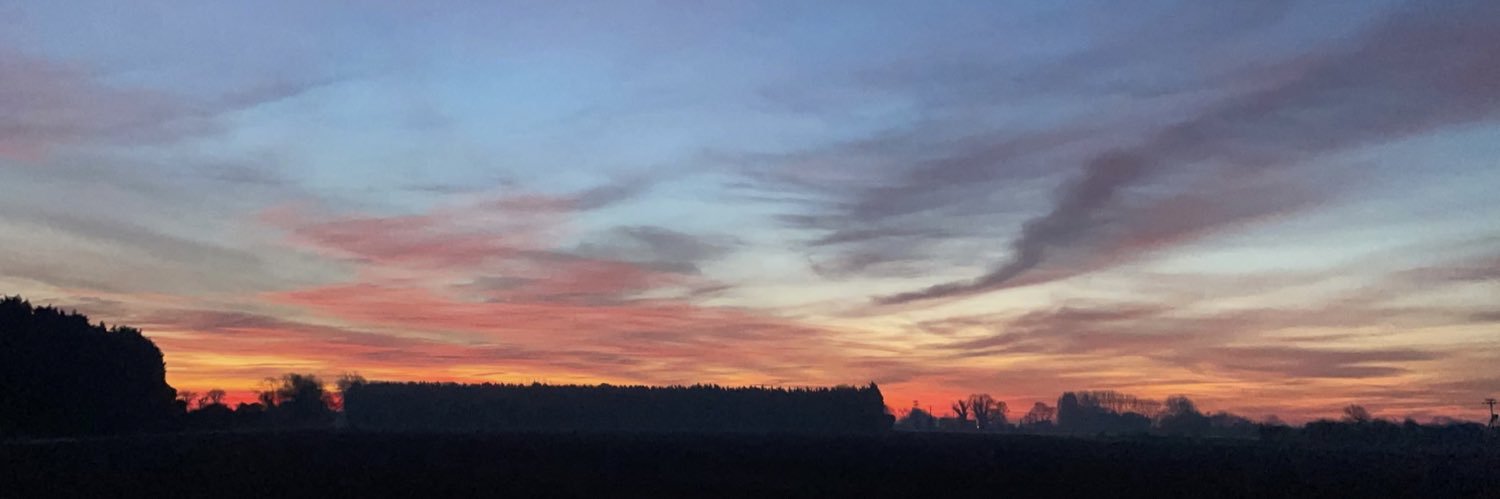 BrodieEllis96's profile banner image