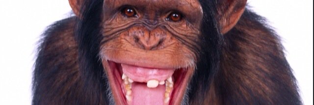 Cornsta's profile banner image