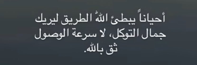 دشتي banner
