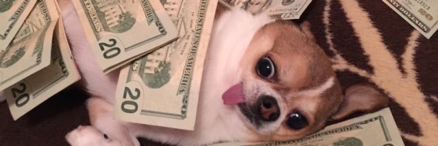 luanefelix_'s profile banner image