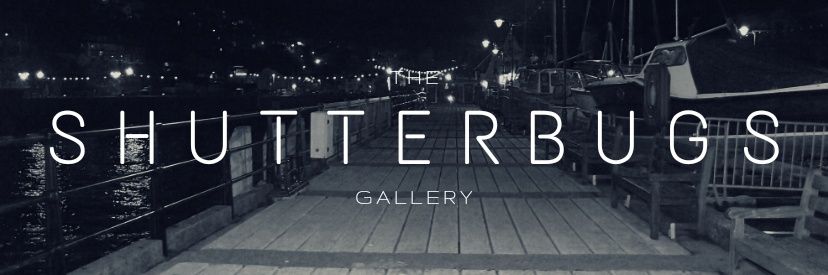 TheShutterbugsG's profile banner image