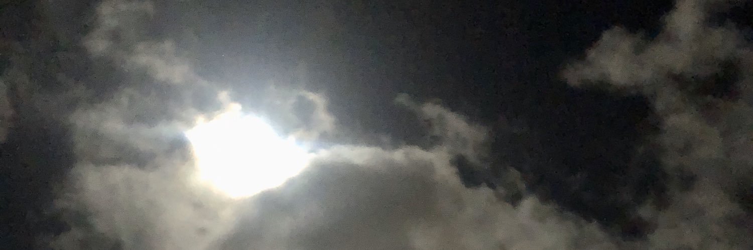 SueGreen666's profile banner image