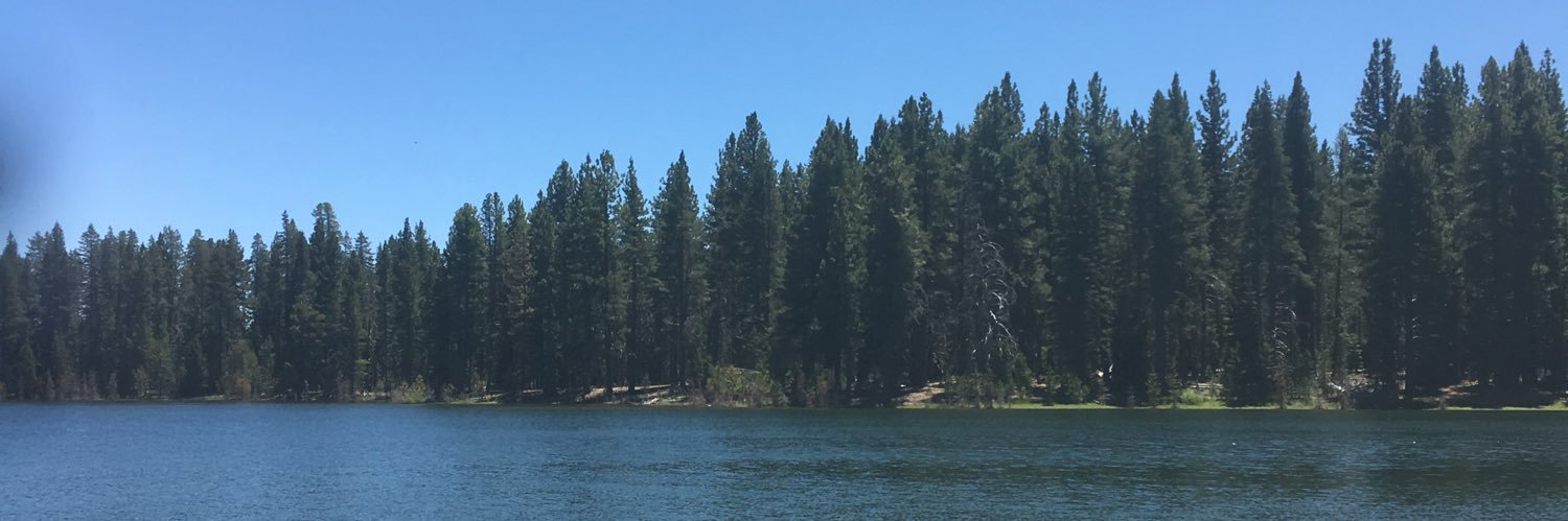 StephVoy's profile banner image