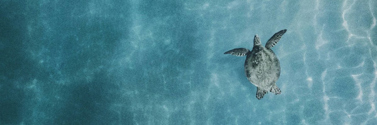 ClientEarth banner