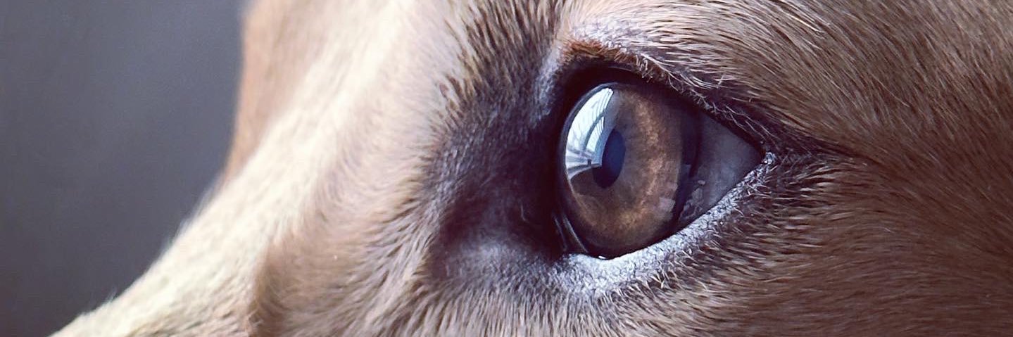 josh89barker's profile banner image