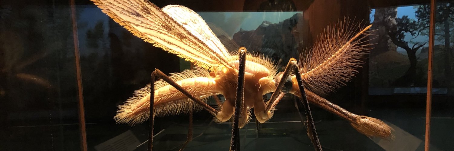 ellen bushell banner