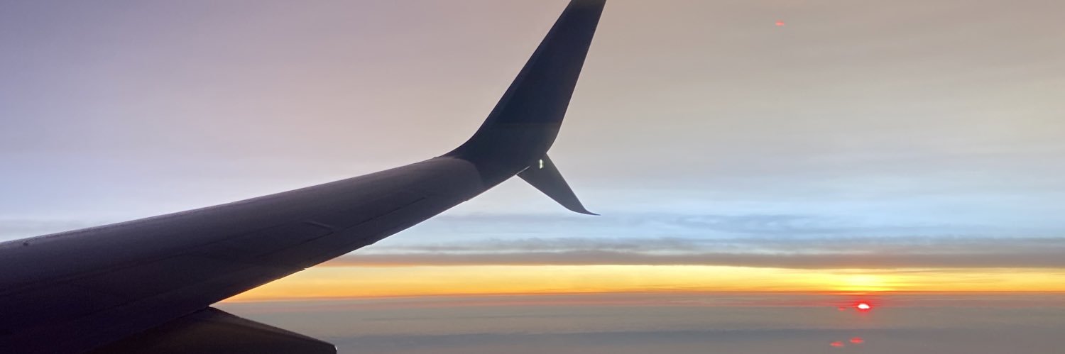 lulagerbaudo's profile banner image