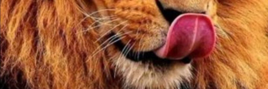 Khobbysplit's profile banner image