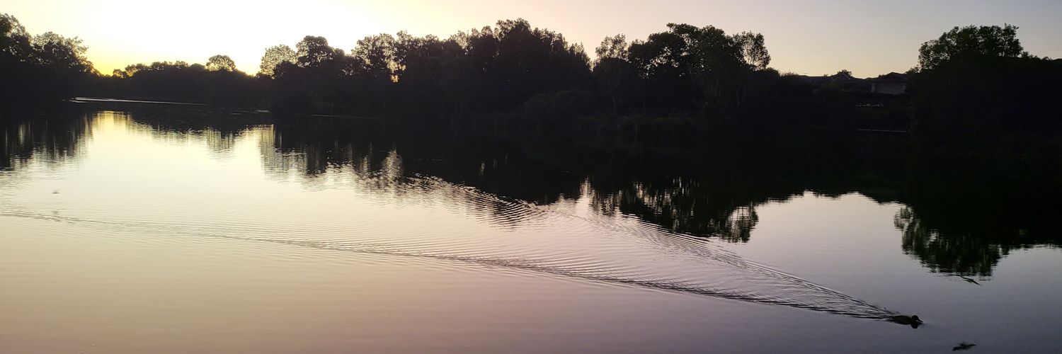 Jayden Saunders - Dizz banner