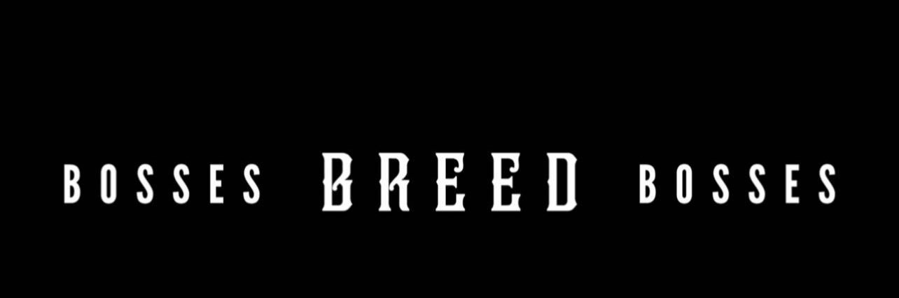 Mac9Os's profile banner image