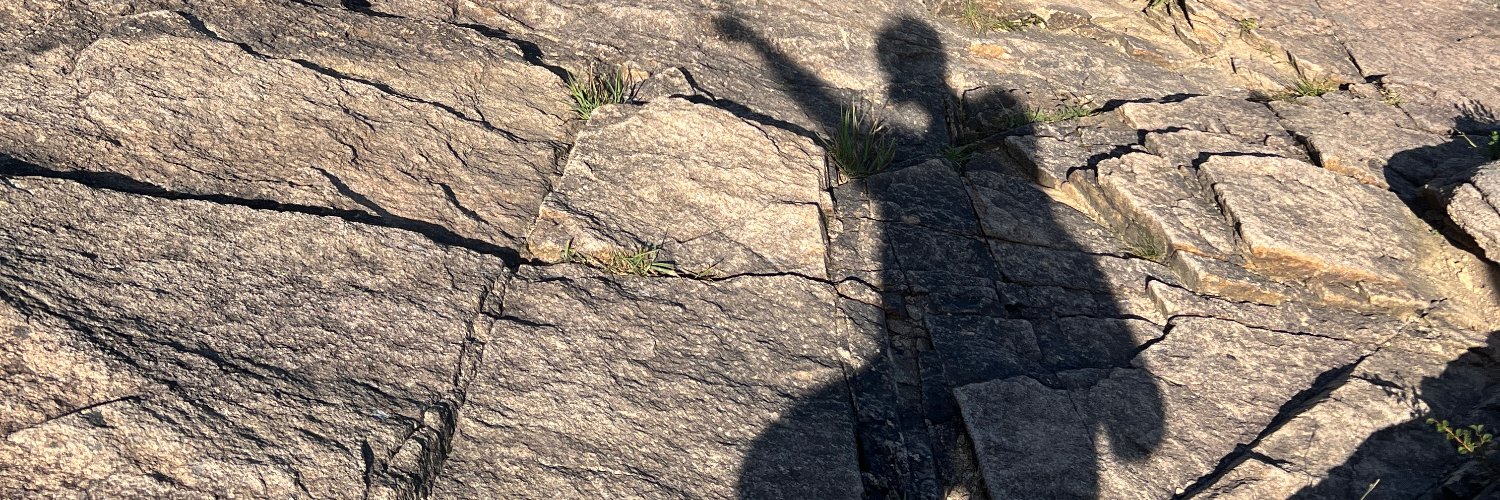 LoLamowk's profile banner image